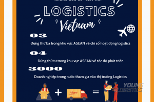  VẬN CHUYỂN VACCINE COVID-19 - BÀI TOÁN KHÓ CỦA NGÀNH LOGISTICS
